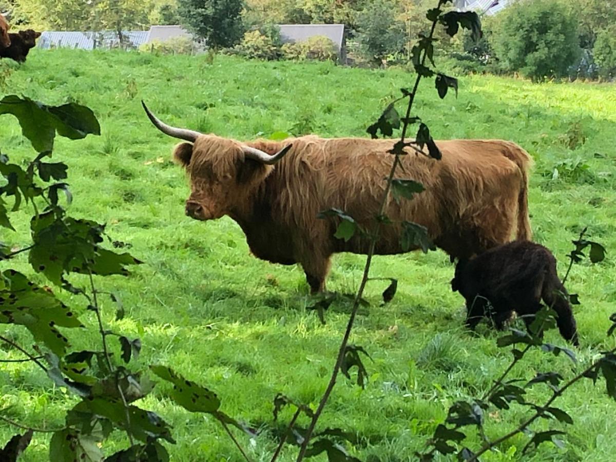 Schoene Aussicht Sauerland By Koelbel Familienurlaub Mit Hund Schmallenberg Εξωτερικό φωτογραφία